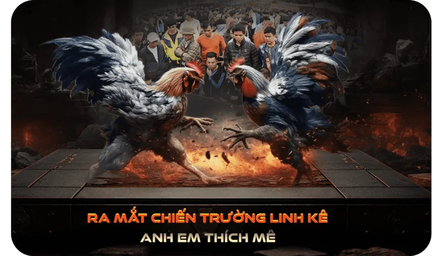 Daga 1 banner2-mobile